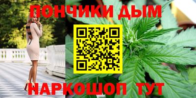 гашик Новокубанск