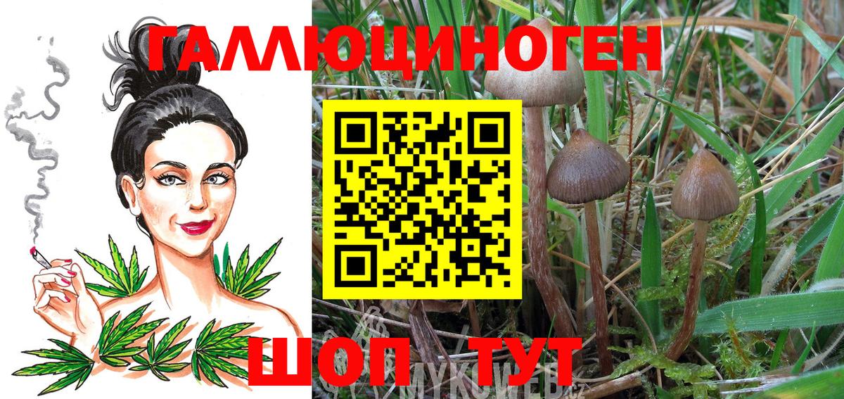 Галлюциногенные грибы мухоморы  Галлюциногенные грибы мухоморы  Вход с VPN  Сосновоборск 